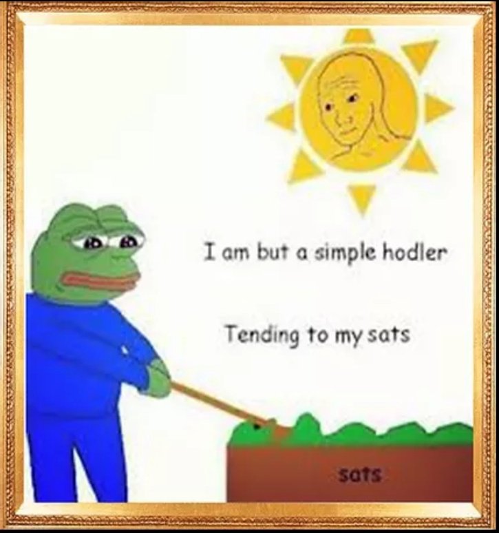 BtcAndres's tweet photo. El único farming que hago. Solo bitcoin. No defi compound o lo que sea. 👨🏽‍🌾
#justbitcoin https://t.co/Zb1V5EMUBM