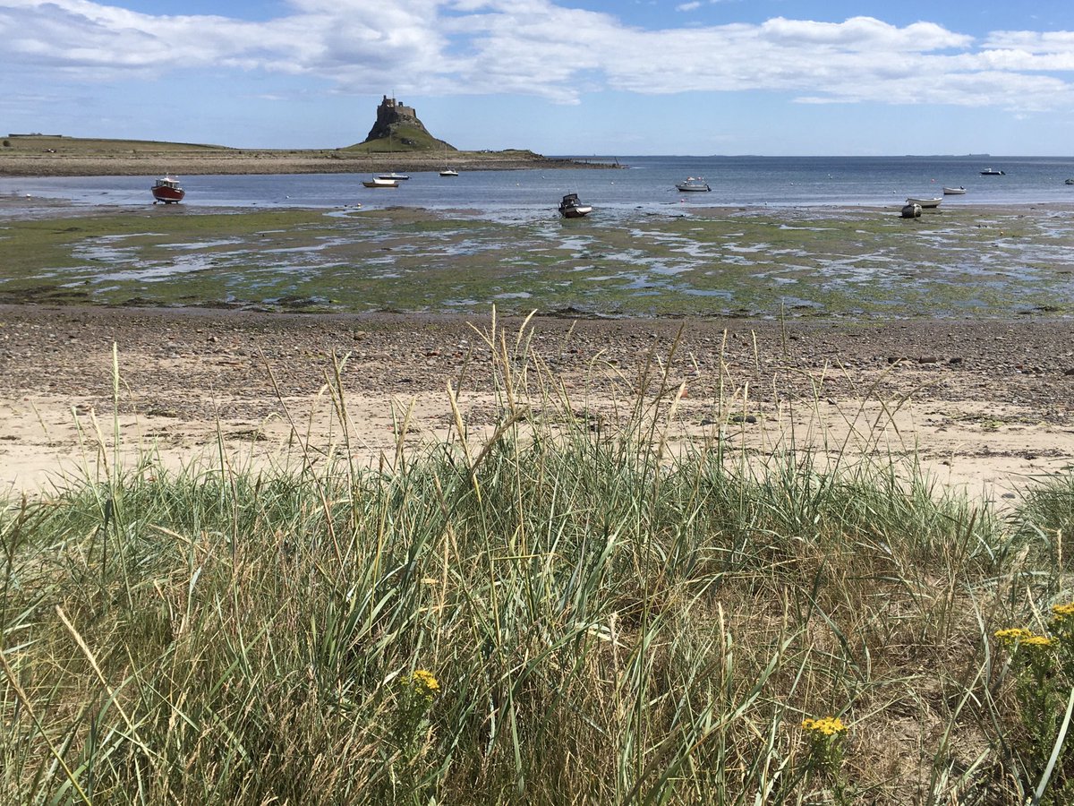 C_J_Carver's tweet image. Had my first meal out today - ploughman’s on Lindisfarne - the first of many, I hope. Where have you been, what’s cheering you up at the moment?
#eatingout #easinglockdown