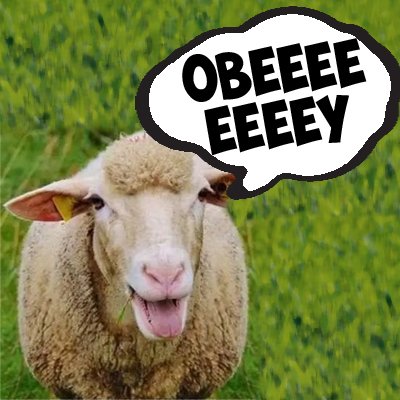 áGata 🐾 tweet media