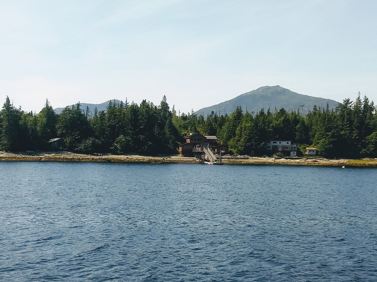 asil_79's tweet photo. @hayday Lake (not my house, I wish!) https://t.co/dBosrWN79b
