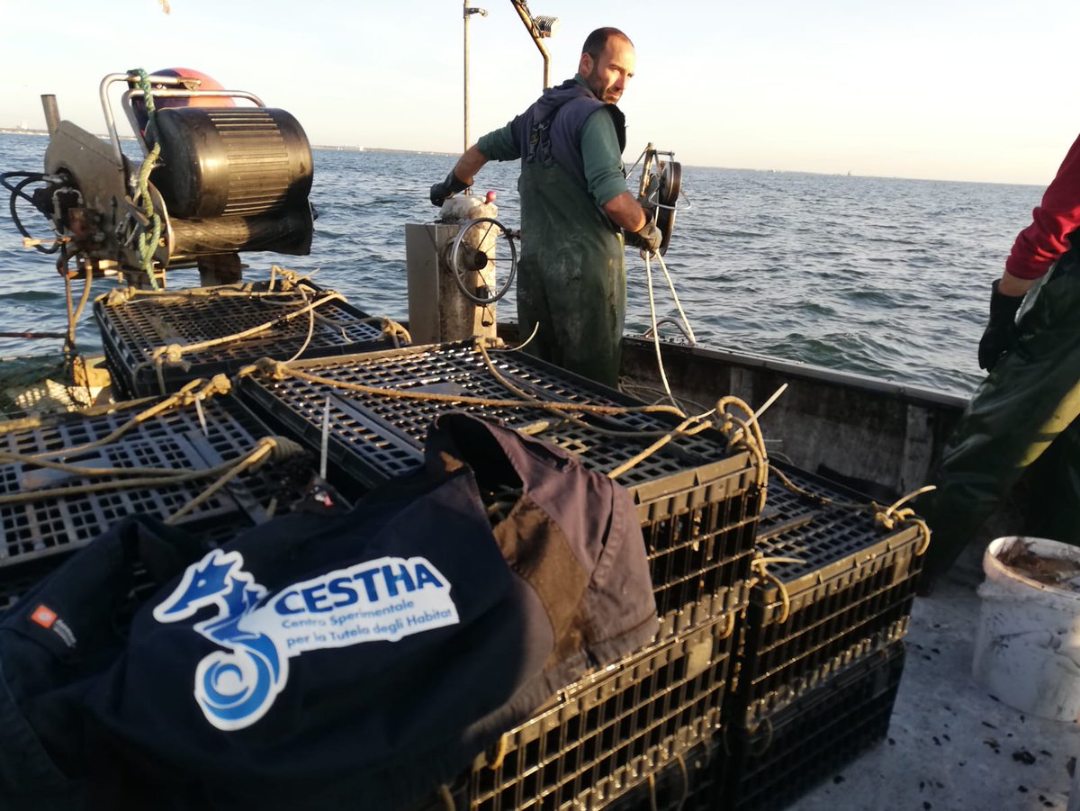 _Prizefish_'s tweet photo. 🐟Another important action of CESTHA is experimenting with #alternative traps while prioritizing the #protection of #cuttlefish eggs. CESTHA’s researchers are studying them directly on-board with local fishermen.🎣 https://t.co/pW84r6uz0F