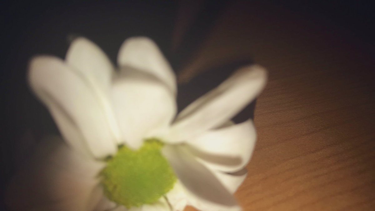 العنود🎶💔 (@i8ssglm) on Twitter photo 