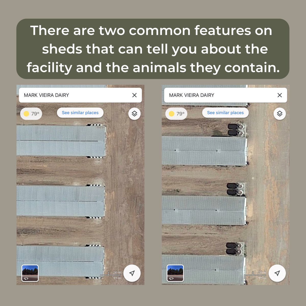 PCounterglow's tweet image. Sheds that hold different types of animals have very similar qualities - especially in hot climates. Some of these structures are easily identifiable while others are not. Can you tell what these two images are of? Maybe you should check out the farm for yourself!