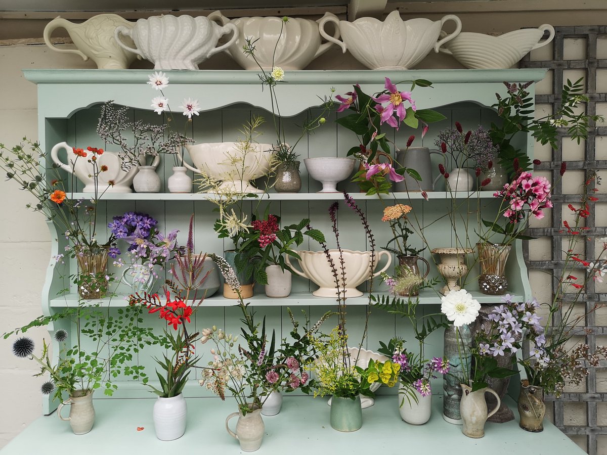 July perennials all getting ready and dressed up for a Garden Masterclass webinar tomorrow @garden_mclassuk #britishflowers #gardengathered #aftertherain #britishflowers #allhomegrown #flowersfrommygarden #bloomandgrow #realflowersoftheseason