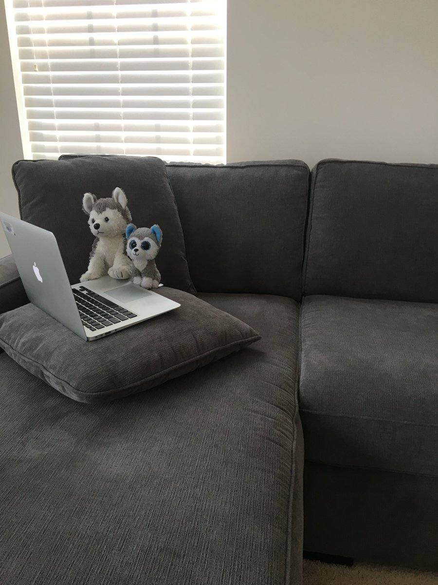 ccoatfhs's tweet photo. These Huskies are continuing their college search process with virtual information sessions and online college visits, and you can too! Check out the calendar in SCOIR and Husky Hub for virtual admissions options this summer. #connectedhuskies https://t.co/pOBxNpryxF