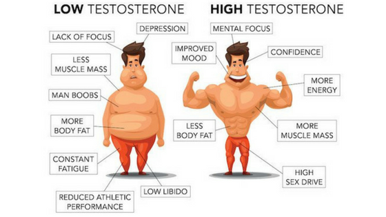 Testosterone nofap What do