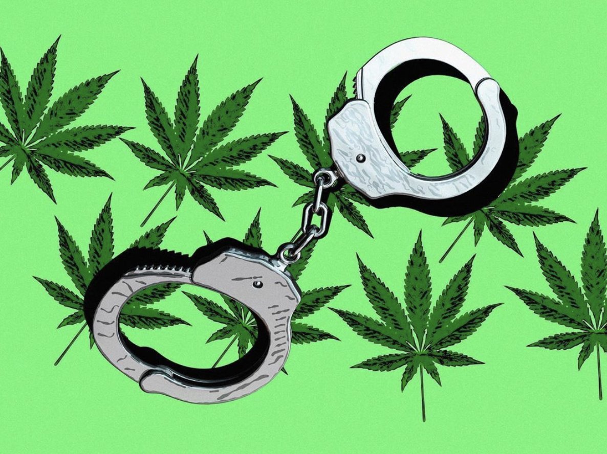 Thank you all so much for helping us raise over $1,400 for <a href="/lastprisonerprj/">Last Prisoner Project</a>! We want to hear what other cannabis organizations, causes, and charities you care about? Let us know in the comments below so we can plan our next fundraiser!

#cannabisculture #cannabiscommunity