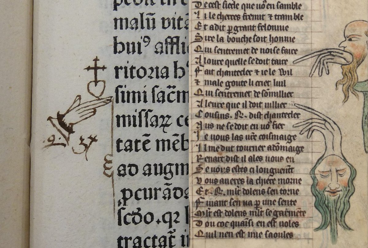 elvia wilk tweet media