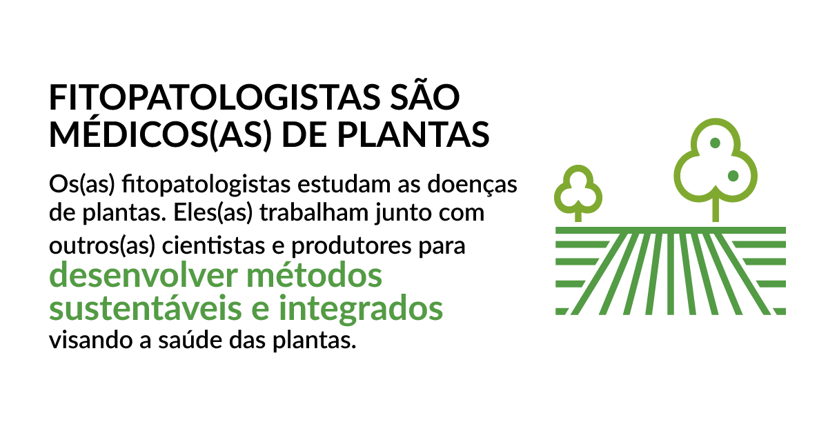 plantdisease's tweet photo. Plant pathologists are plant doctors. #iyph2020 #iyph #planthealthisyourhealth 

Learn more: https://t.co/bgPvmNKmgW https://t.co/3Slh0f7aue