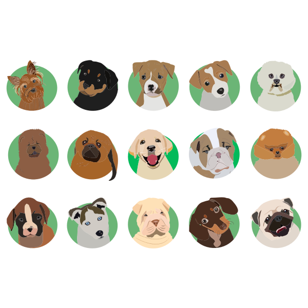 pet_aroono's tweet photo. 3 Tips for Adopting the Best Dog for You
https://t.co/LMhFab7ymE
#petadoption #adoptadog #adoptiontips https://t.co/N5UaAHqBvn