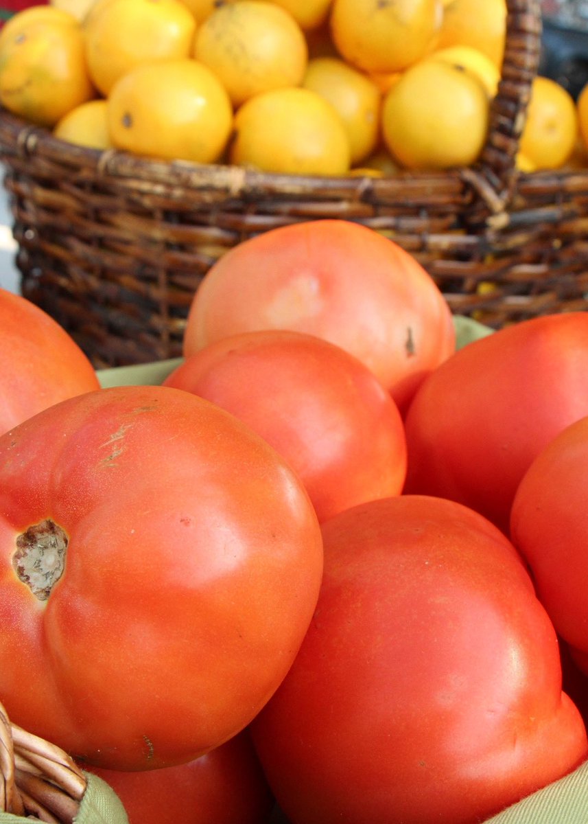 feedinggeorgia's tweet photo. Before the Coronavirus, 1 in 7 Georgians struggled to put enough nutritious food on the table, yet 40% of food is wasted with the biggest category being fresh fruit and vegetables. We are fixing that. Learn more at https://t.co/qT1uC2633c #hungrytohelp 📷 @FeedingAmerica https://t.co/cABViIX5m3