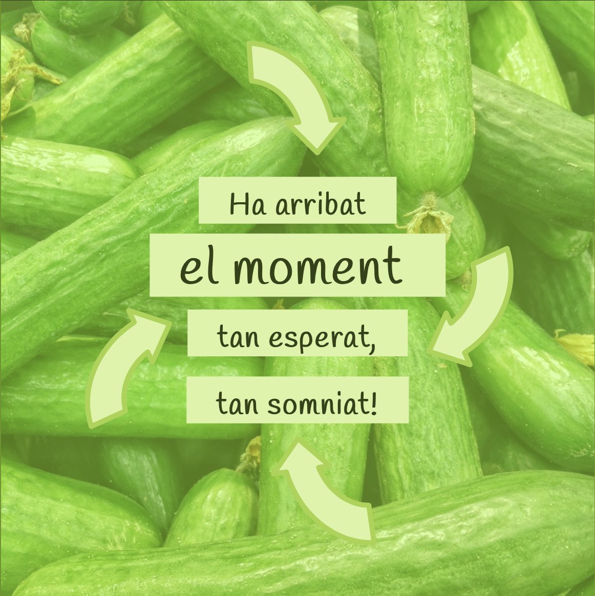 ProxiShop_cat's tweet photo. En unes hores farem públic el vídeo promocional de ProxiShop, on t’ensenyarem les característiques principals i les vistes de la plataforma!

Esteu preparats per ser els primers en descobrir ProxiShop? 😀

#productelocal #agricultura  #catalunya #proximitat #ecologic #startup https://t.co/HIcFqm43Pu