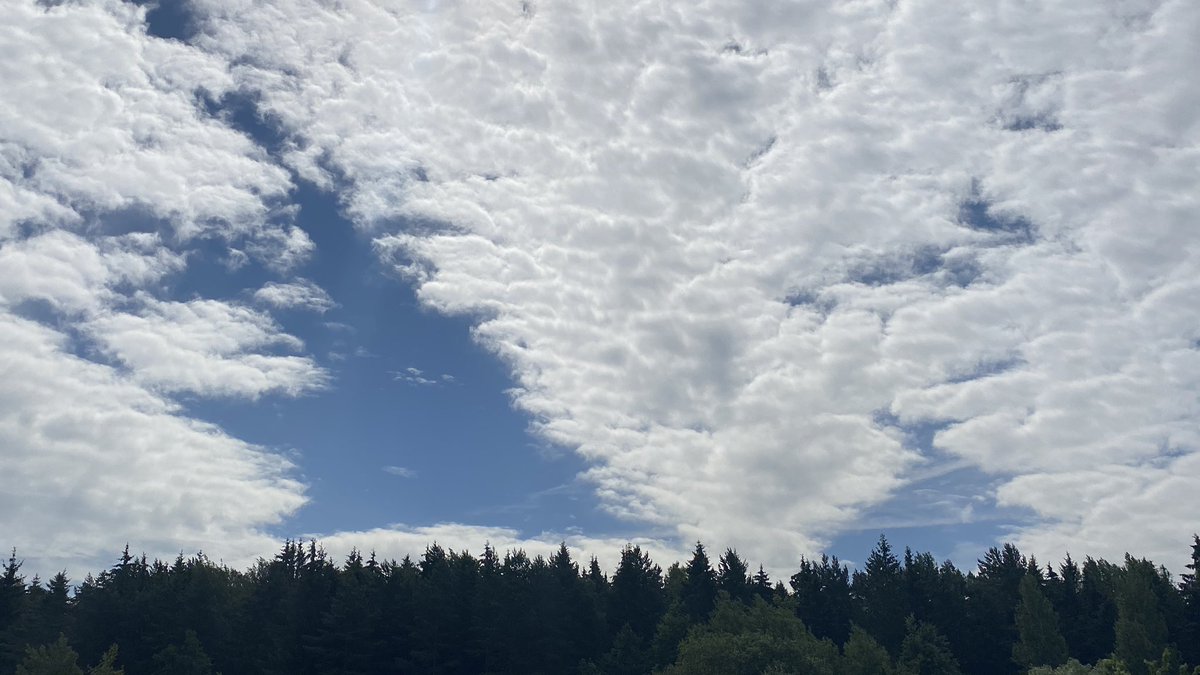 Max_RealReviews's tweet photo. Wonderful summer day sky // Прекрасное летнее небо // #небо #облака #лето #город #минск #жизнь #life #minsk #summer #sky #skies #summerday #iphonephoto #photo #фото https://t.co/RlCIxhBjua