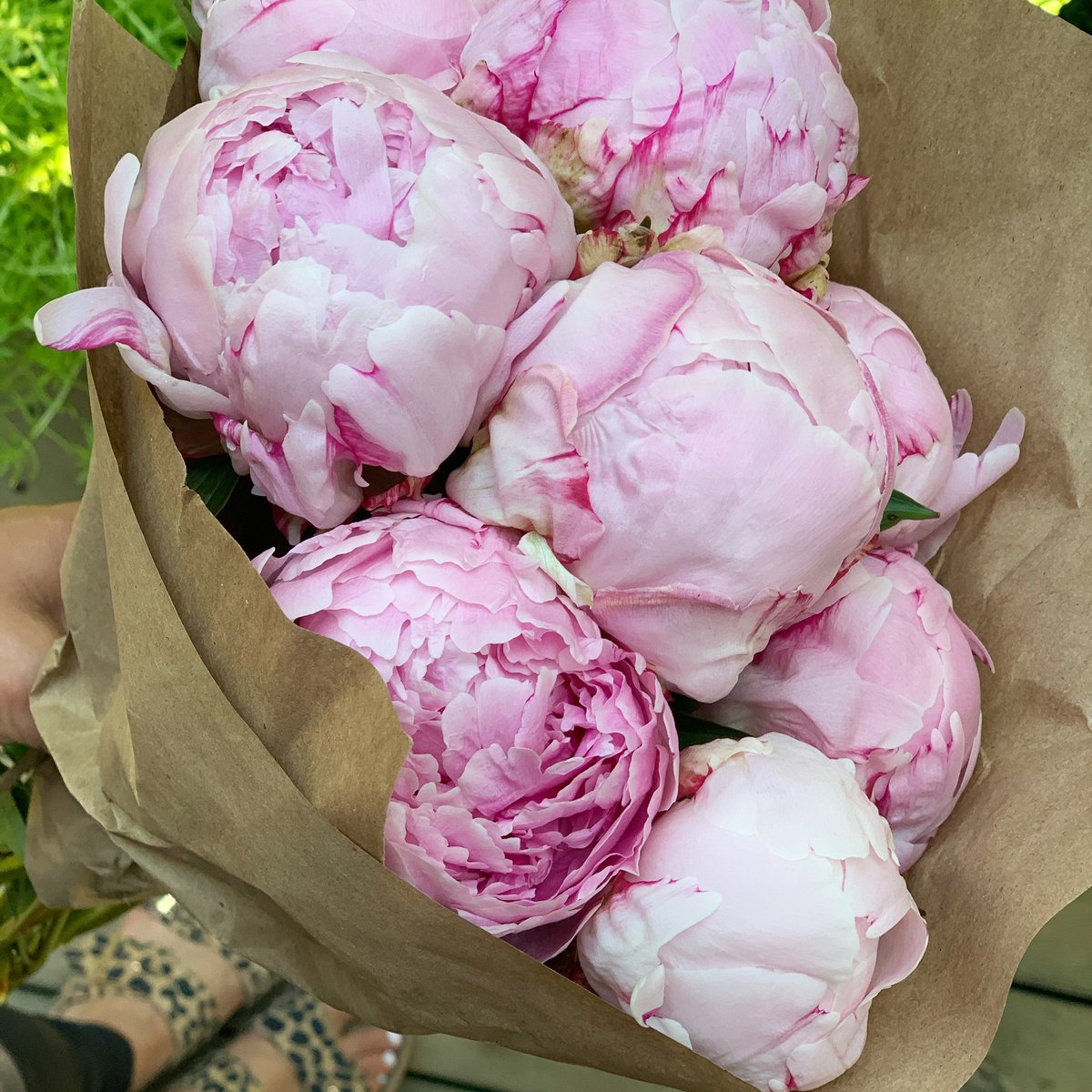 Last of the season, couldn’t resist these at <a href="/dundurnmarket/">Dundurn Market</a> 
.
#HamOnt #Peonies #summer