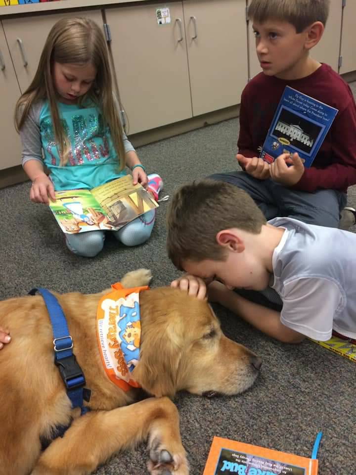 Roxy Therapy Dogs tweet media