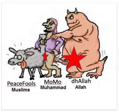 GoldRomanberg's tweet photo. Islamic Human Cycle @RSSorg @Acharya1Govind @SrivastavUdit ,@officialjokini @tarang2016 @National_Hindu @Anti_Congressi https://t.co/2qZxxEUeiD