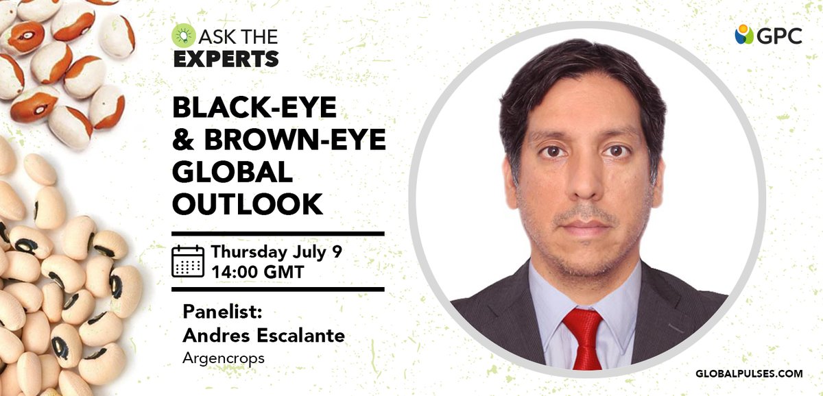 GlobalPulsesGPC's tweet photo. THIS THURSDAY!
#GPCAskTheExperts Black-Eye and Brown-Eye Global Outlook
๐ต๐ช MEET THE PANELISTS: Andrรฉs Escalante, General Manager, Argencrops Peru, has been exporting pulses for more than 10 years.
For GPC members only. Become a member at: https://t.co/APYr3qgQGJ https://t.co/2xfTZWFYT7