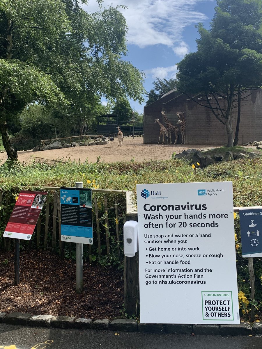 Belfast Zoo tweet media