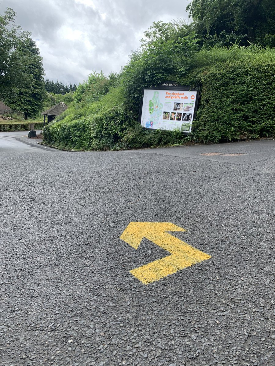 Belfast Zoo tweet media
