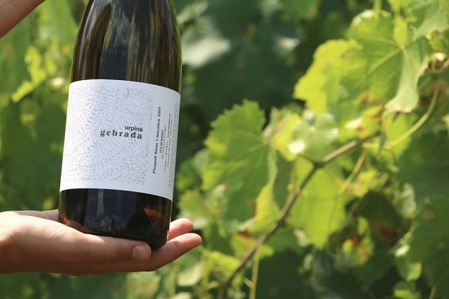 DiariDiscapCat's tweet image. AMPANS llança al mercat el ‘Gebrada’, el primer vi blanc de la seva marca Urpina - Diari de la Discapacitat buff.ly/2O4XurS @Ampans @_dincat @dopladebages #Urpina #Gebrada #vi #discapacitat