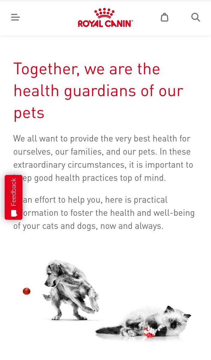 TheTwelveTails's tweet photo. ℹ @RoyalCanin is offering free chat's w a Veterinarian to help #pet parent's during #COVID19 
Visit https://t.co/l0KMBWwFJ4 for more info &amp; to chat now

#dogs #cats #pets #pethealth #free #TuesdayThoughts #gethelphere https://t.co/JZ5kDRARva