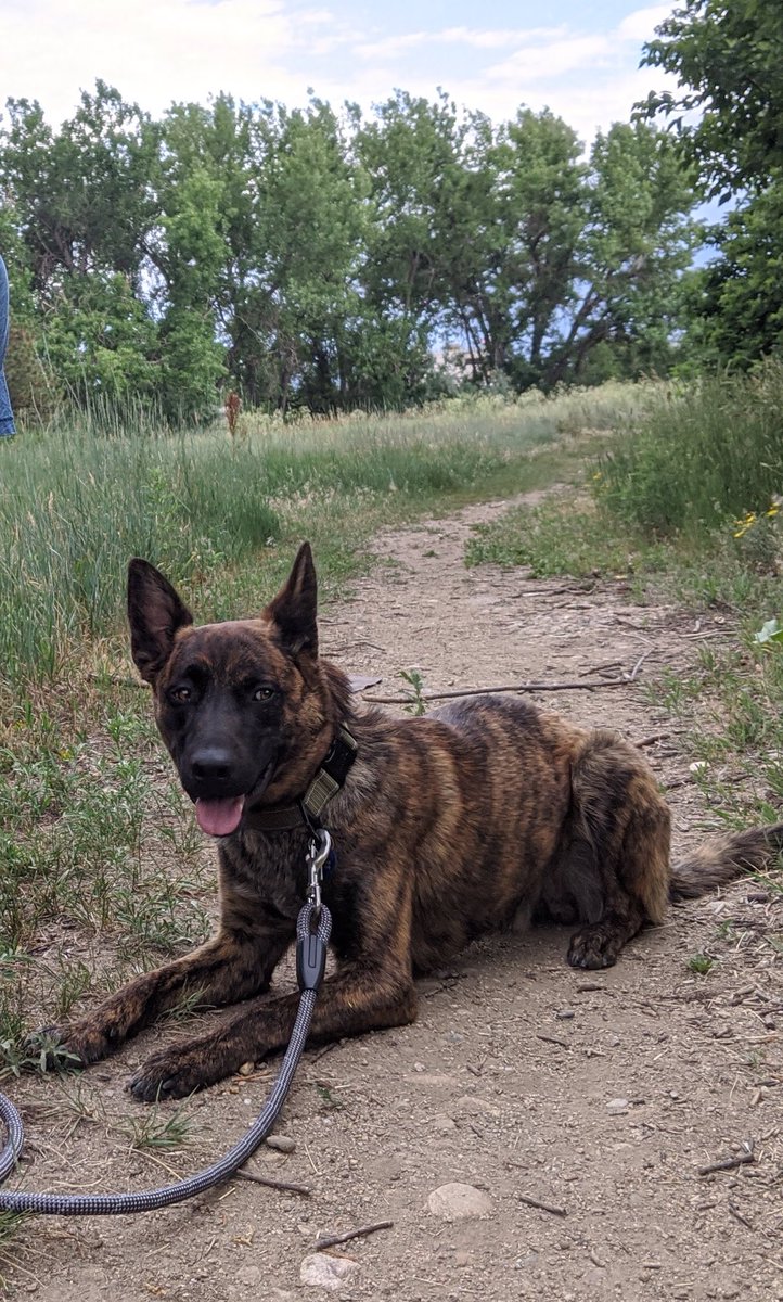 Jennifer Fawcett tweet media