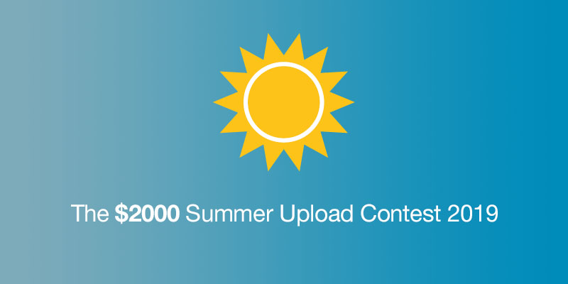 Codester Update tweet media