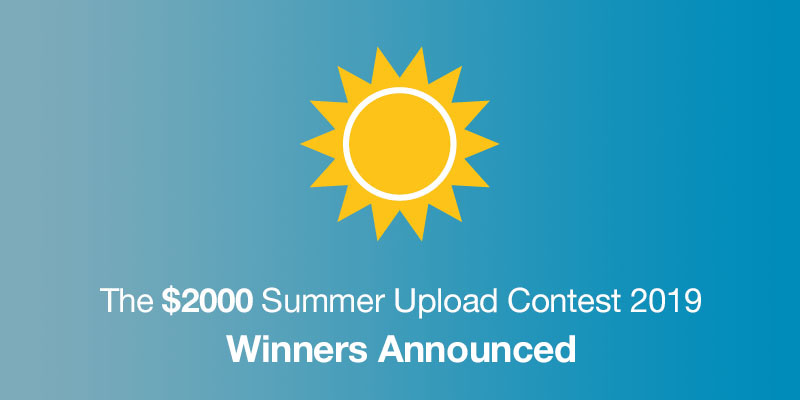 Codester Update tweet media