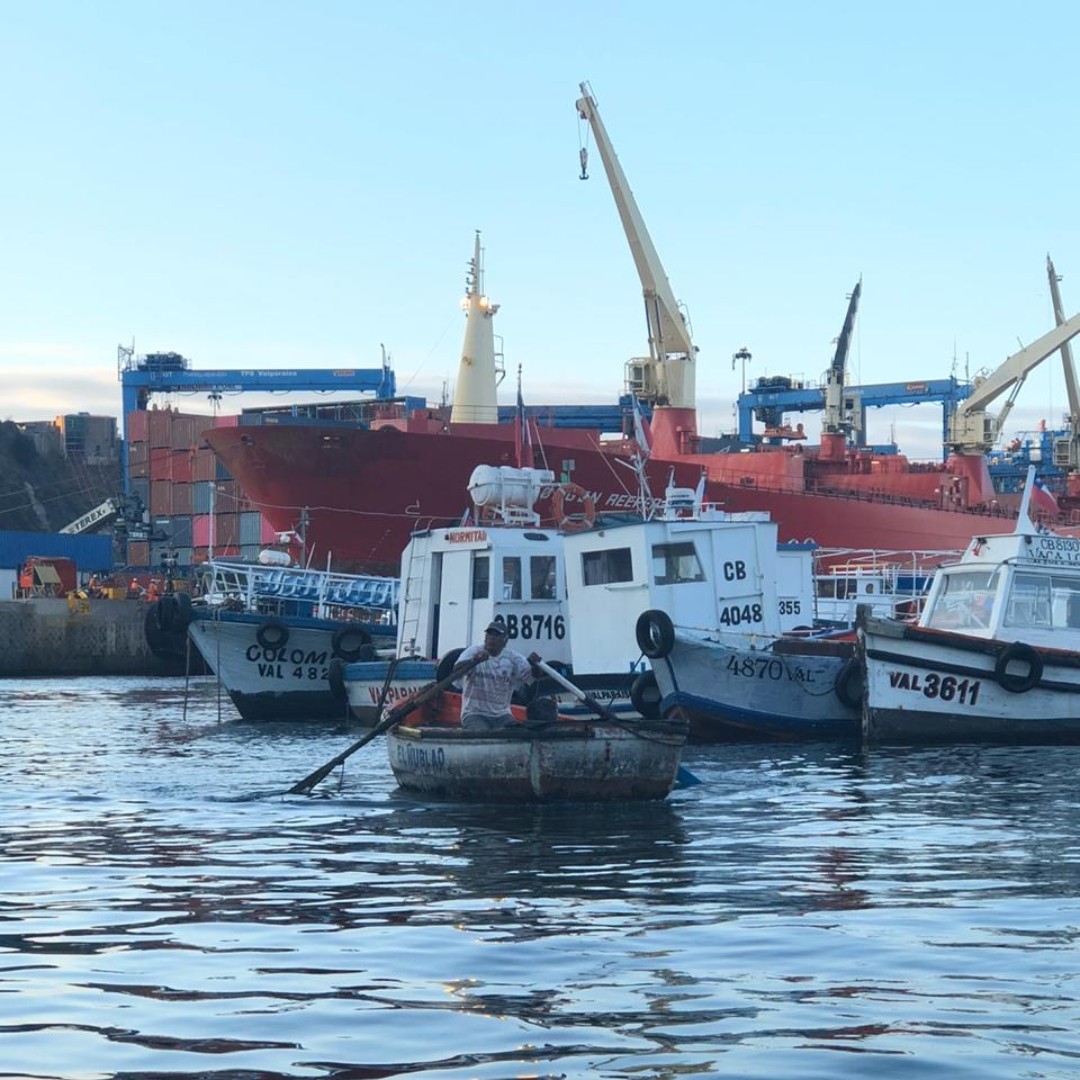 valpoturistico's tweet photo. #RecorriendoElPuerto #Online 🤳

Un infaltable de Valparaíso es el paseo en lancha desde el Muelle Prat🚣

¿Te has embarcado alguna vez?🤔

Cuéntanos tu experiencia ✍️

#TurismoOnline #Quedateencasa #NosVolveremosaEncontrar https://t.co/PjIkuA3uq4