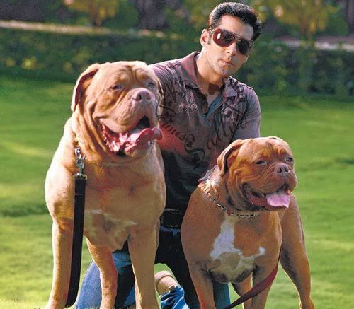 dheeraj_chandel's tweet photo. @007AliSohrab https://t.co/0lxOU4C1LO