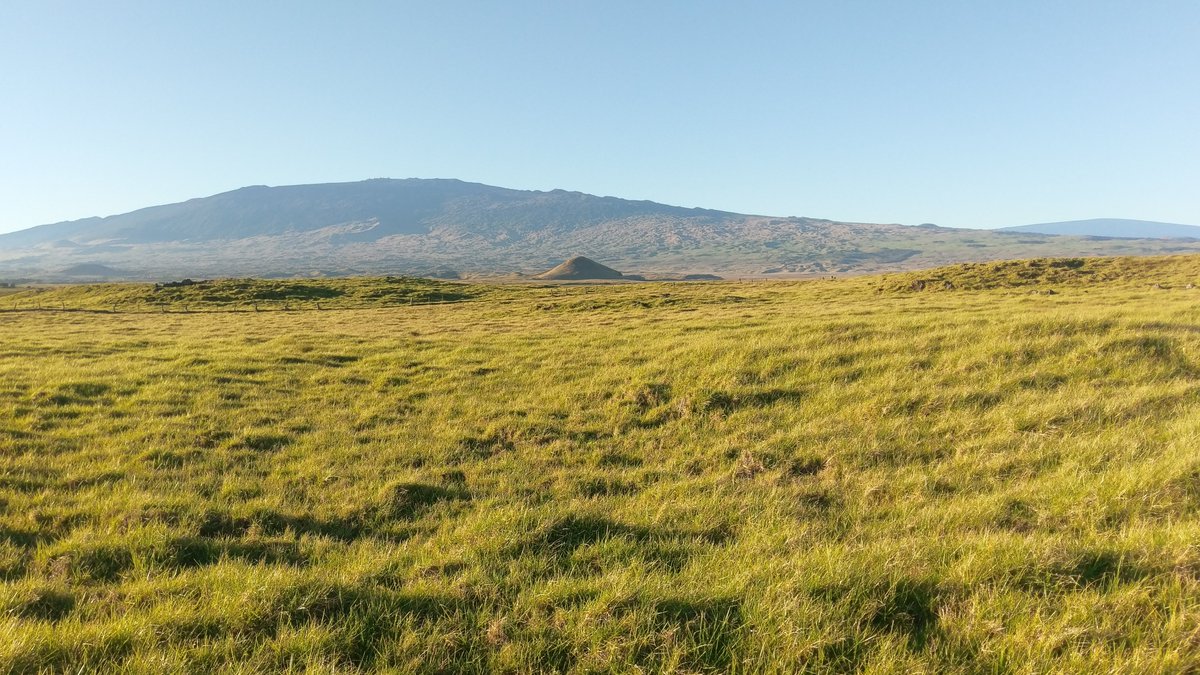 Steven Kaplan tweet media