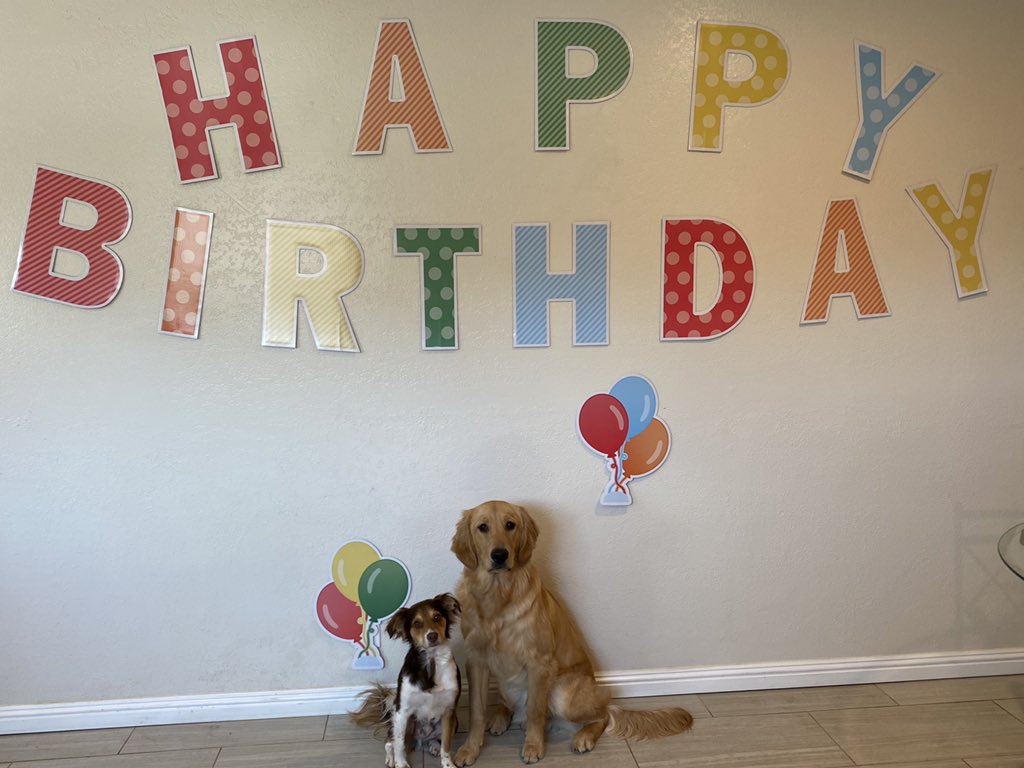 redtailhayley's tweet photo. Join us today for another round of the Redtail Summer Series! Today is @redtailaustinj ‘s pup (Daisy’s) 1st BIRTHDAY!! #RedtailSummerSeries #StrategyChallenge https://t.co/wgbIDITkSJ (Leo and Malcolm wishing daisy a happy birthday below) https://t.co/xZKfWFdQn4