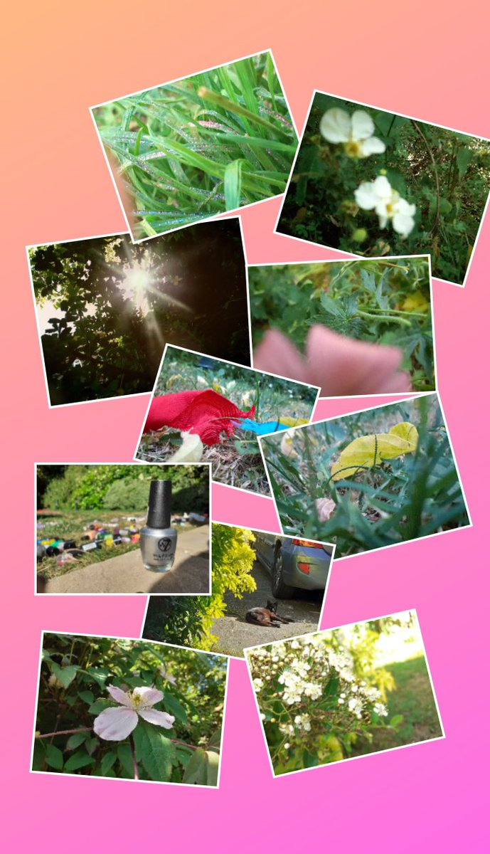 14Coulsdon's tweet photo. When your Guides decide the Brownies can’t be the only ones that produce interest badges.... this is Emma’s final part of her photography badge - Well done Emma! 

@GuidingCroydon @Guiding_LaSER #StillGuiding https://t.co/w1J3SaPjJu