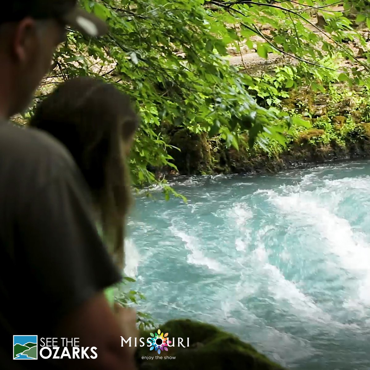 See The Ozarks tweet media