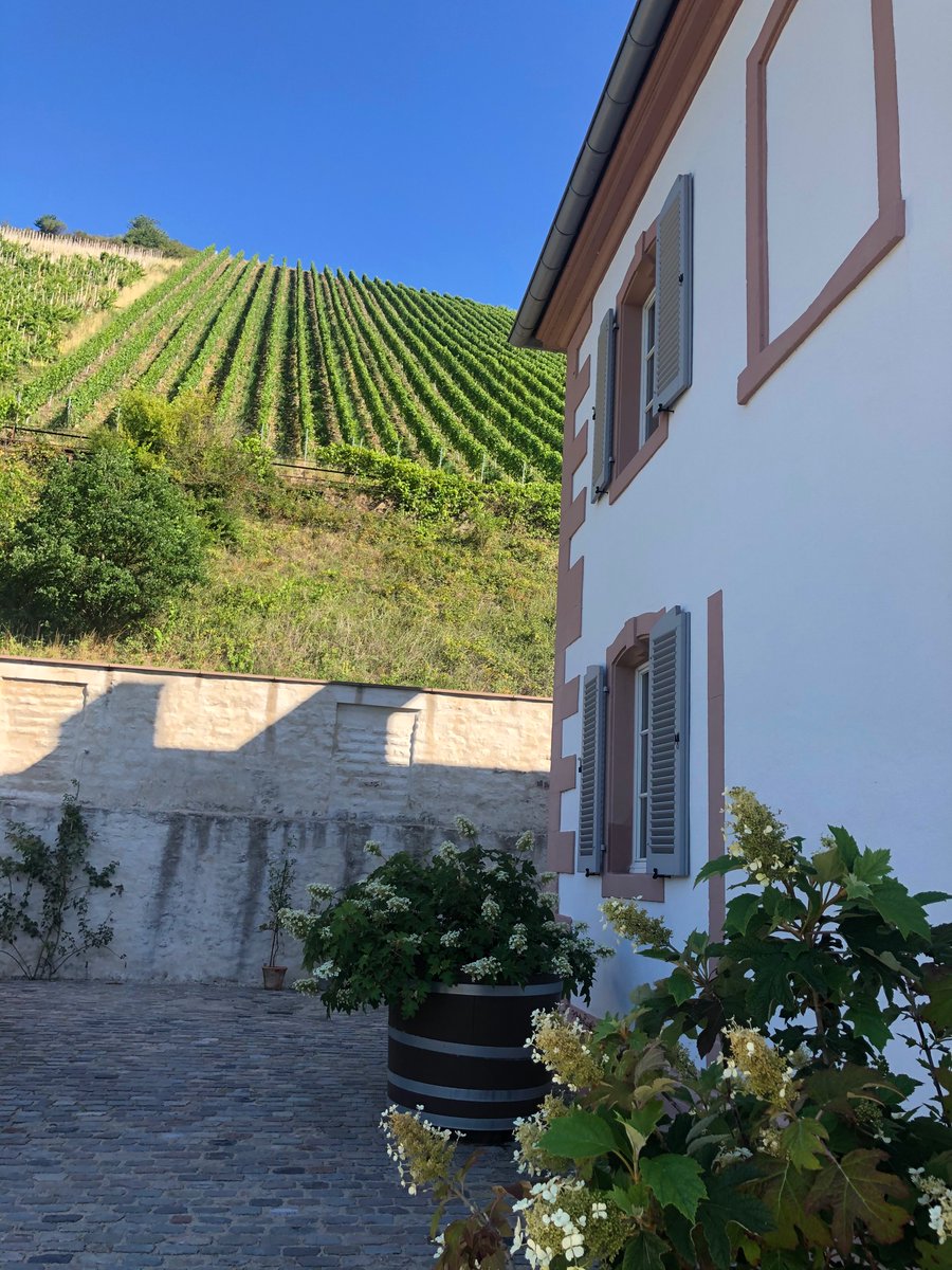 swilliamsjourno's tweet photo. This is Germany, apparently #MoselTal #finallyholiday https://t.co/jW108i7hQA