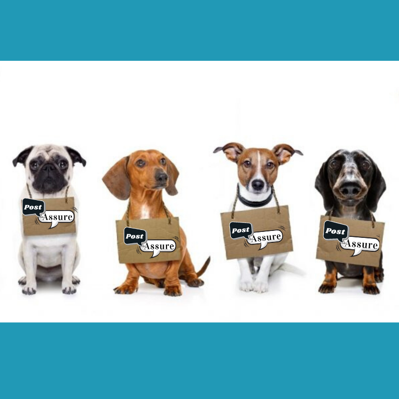 PostAssure's tweet photo. Is your #socialmedia not working for you? It’s our job to make your #socialmediamarketing successful!
💥We Know Who Your Audience Is
💥We Know Industry Trends
💥We Talk To and In A Way Your Followers Can Relate
Contact us now to learn more about #PostAssure! https://t.co/QmAWoyEr8L
