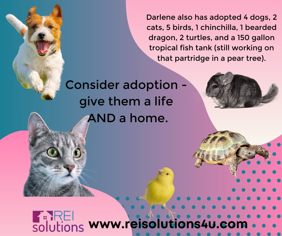 reisolutions4u's tweet image. 