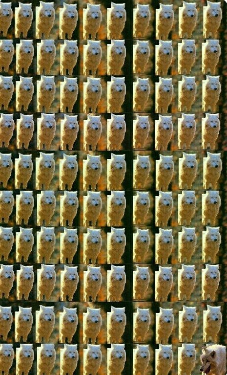 alcrsk's tweet photo. *eu lavo minha mão com sabonete 99%*

germes: https://t.co/A1U4IGsChc