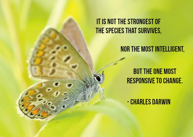 gary_hensel's tweet photo. It is not the strongest of the species that survives,nor the most intelligent, but the one most responsive to change. -Charles Darwin #quote https://t.co/5j7Olfsxqp