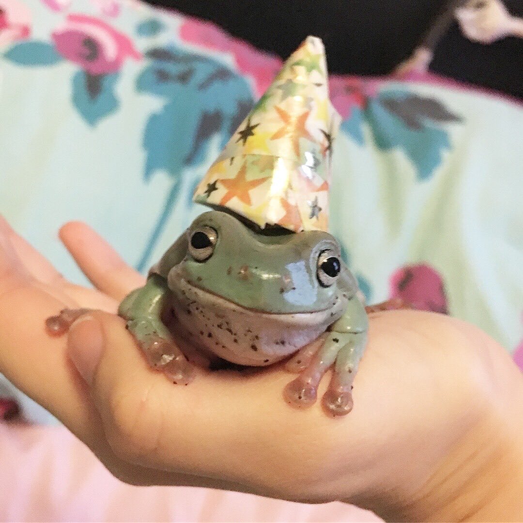 birthday froggos !