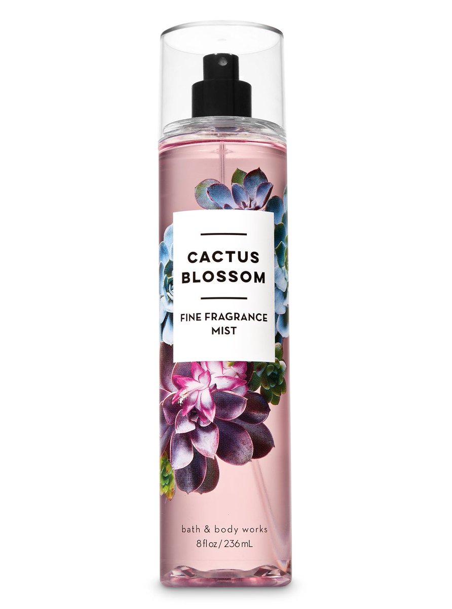 bodycar75473414's tweet photo. البخاخ العطري Cactus Blossom مزيج منعش من بتلات الصبار، وجوز الهند، والفانيلا مرطب ومغذى للبشر�� مع رائحة لا تقاوم متاح بجميع الدول العربية السعر 29 ريال بدلا من 80 ريال
للتسوق من هنا https://t.co/9xSANXp10r https://t.co/UA0OFjAink