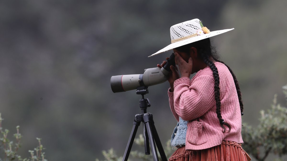Paul Gabrielsen (@sci_gabe) on Twitter photo How do we watch for
trouble in billions of birds?
Use millions of eyes.
Learn more: attheu.utah.edu/uncategorized/…
<a href="/UUtah/">University of Utah</a> <a href="/UofUBiology/">University of Utah School of Biological Sciences</a> #sciku <a href="/sekercioglu/">Çağan H. Şekercioğlu</a>
<a href="/MHCNeateClegg/">Monte Neate-Clegg</a> <a href="/Team_eBird/">eBird</a>
<a href="/BirdLife_News/">BirdLife International</a> How do we watch for
trouble in billions of birds?
Use millions of eyes.
Learn more: attheu.utah.edu/uncategorized/…
<a href="/UUtah/">University of Utah</a> <a href="/UofUBiology/">University of Utah School of Biological Sciences</a> #sciku <a href="/sekercioglu/">Çağan H. Şekercioğlu</a>
<a href="/MHCNeateClegg/">Monte Neate-Clegg</a> <a href="/Team_eBird/">eBird</a>
<a href="/BirdLife_News/">BirdLife International</a>