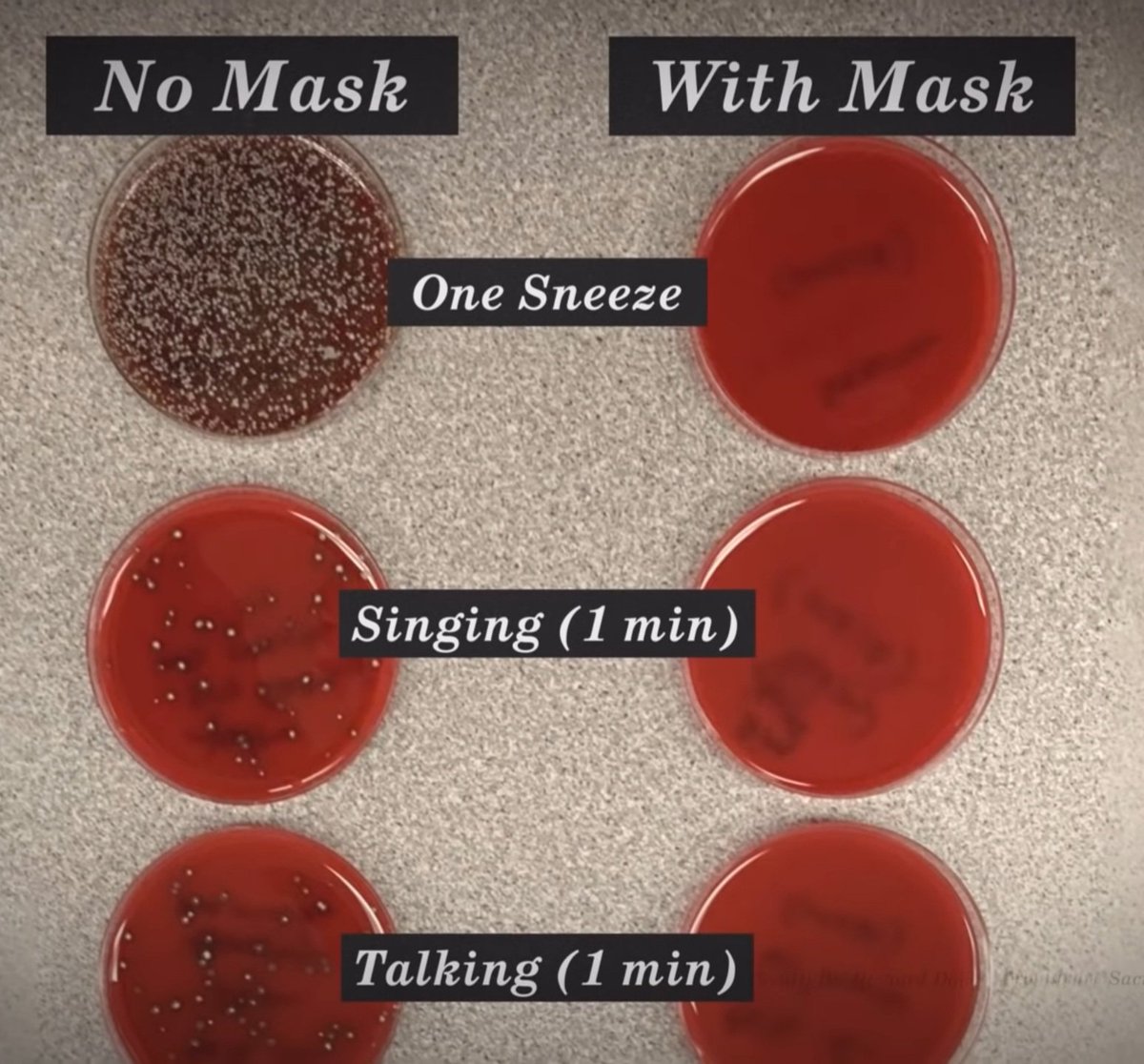 Literally a breathing petri dish... #COVID19