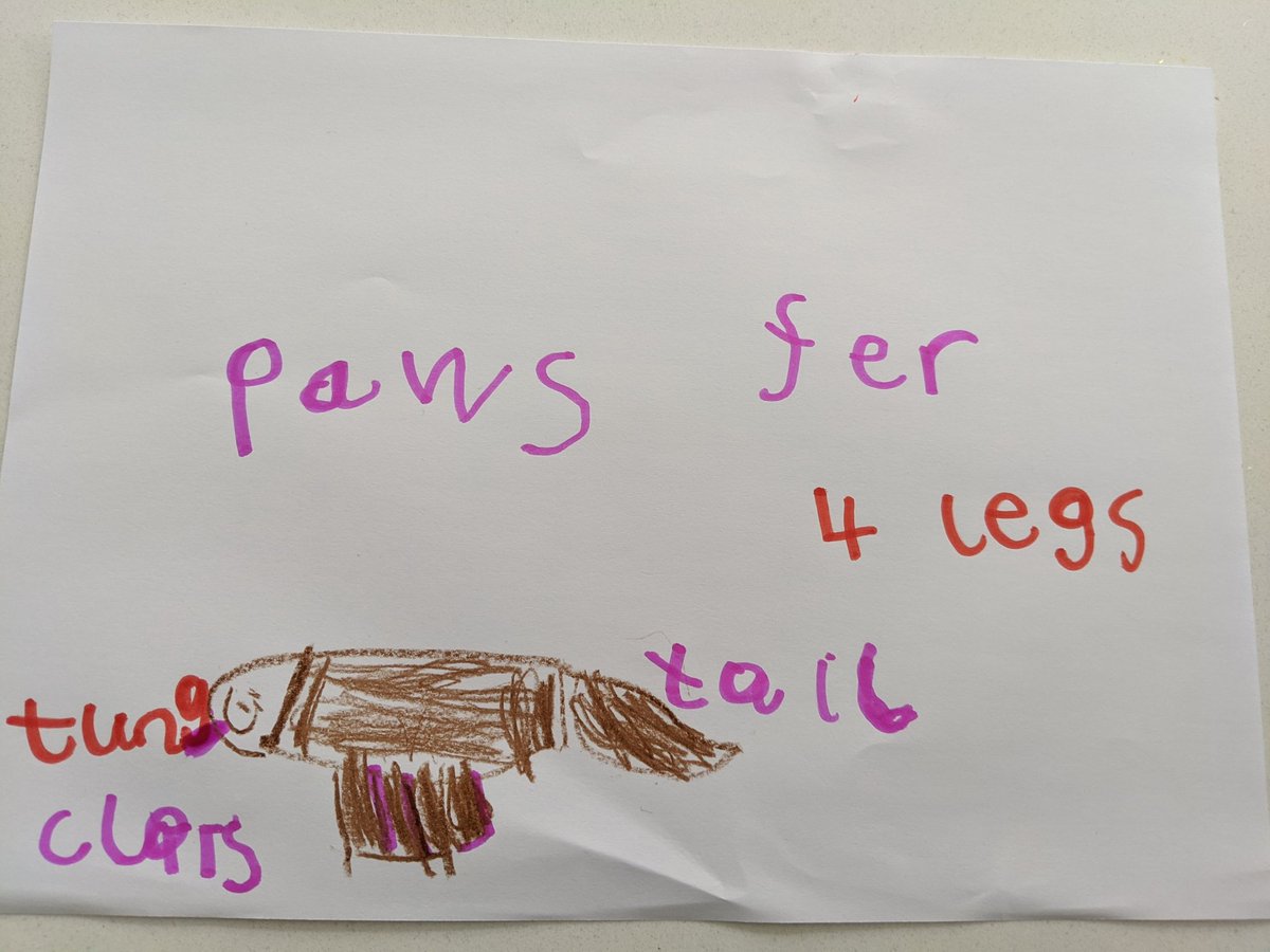 SarahMJ82's tweet photo. V's labelled picture of a dog! @CoedEvaYearR https://t.co/1tZkVSJ291