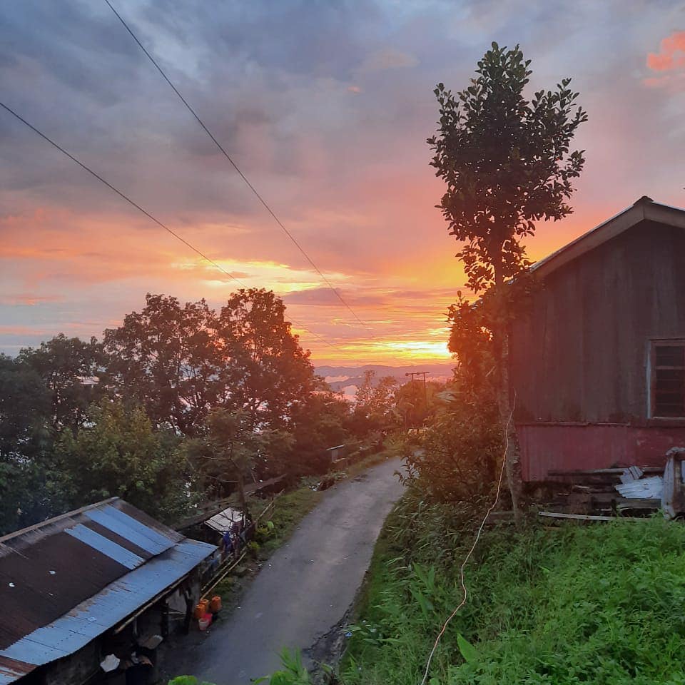 forest_pick's tweet photo. The road to gold...as dawn strikes the #TeaLanders...A solemn calm before #TeaCrafting begins...
https://t.co/HlblfxVf8v
#WildTea from Southern Manipur
100% Natural...100% Handcrafted
#handcraftedteas #handmadetea #handmadewithlove #naturaltea #ethicaltea #mountainlife https://t.co/0dZ1iOamt7