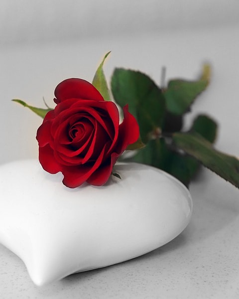 athiass1's tweet photo. Un amour renversant, qui te rend fort lorsque l’être aimé est là, qui te rend faible lorsqu’il est absent.
Téléchargement->https://t.co/caBMnkpPuX
YouTube->https://t.co/lQbgUz9eVS

#Bobo remix 
#Athiass_Lamouziki
#Dobl_D
#Di Milano’s Vision
#Arsevalia_Group https://t.co/0AdB9O5kVW
