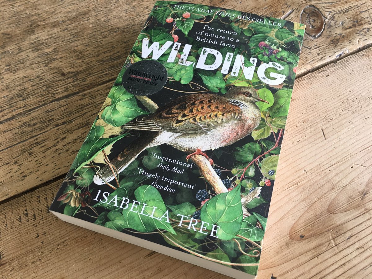 MinervaNet's tweet photo. The Minerva team works on several #sustainability projects  and our latest  #recommendedread – Wilding by Isabella Tree - is both inspiring &amp; a great example of how sustainable change can be realised. Find out more in our latest blog https://t.co/F7qcCA7NtN #bioeconomy https://t.co/FzIMl4TK1F