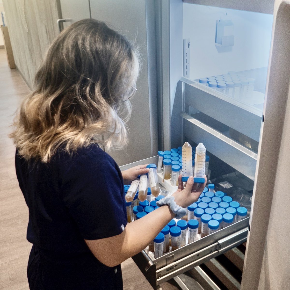 hopebiosciences's tweet photo. At Hope Biosciences we pull the finest ingredients for our propriety growth medium that we make in house, the miraculous HB-101.
.
.
.
#growthmedia #hb101 #stemcells #science #biotechnology #regenerativemedicine #cellgrowth #cellculturelab #cellculturemedia https://t.co/HhUs5M02E1