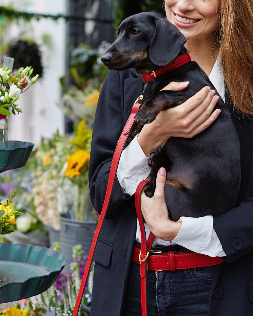 opari_design's tweet photo. Twinning Tuesday 🐾❤️👣
https://t.co/qcloScWgSh
Be the best dressed in the park with our matching leather belts and dog collars! 
#dogs #oparidesign #twinning #Trending #fashiontrends #leather #stylish #matching #fashion #gifts https://t.co/r4ISy1sjlZ