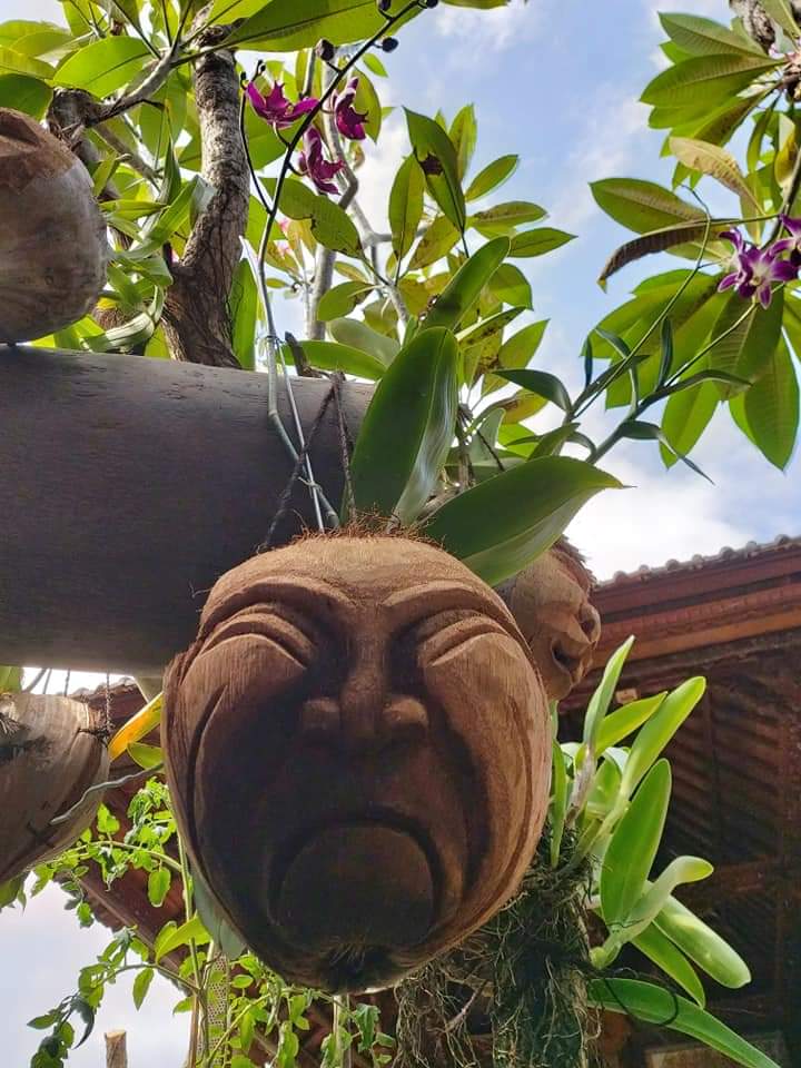 temanparta's tweet photo. "Semalam sampai di Jakarta, saya juga bawa titipan UKM (Usaha Kecil Mikro) hiasan @pot_pompong_bali [IG] atau batok kelapa. Mudah-mudahan bisa bantu promo dengan para kolega" #nyomanpartash #komisi6dprri @DPR_RI #ukmbali @PDI_Perjuangan @PDIP_Bali #temanparta #ukm #potbungaunik https://t.co/jnUgPJiS1A